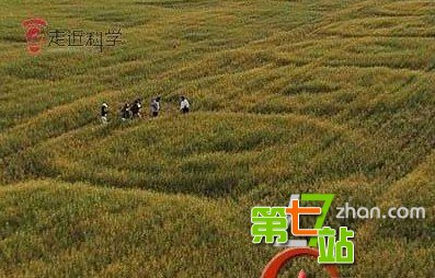 未解之谜：央视曝光罗布泊秘密