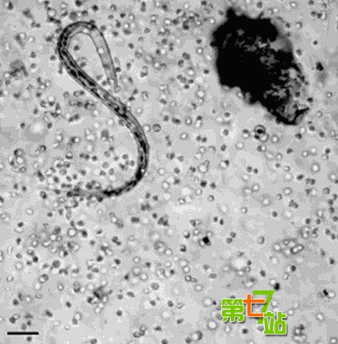 曝地球骇人真相：停转42秒就是世界末日